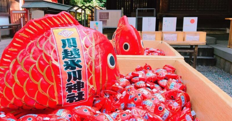 From Tokyo: Round-Trip Fare to Kawagoe City - Practical Tips for Your Day Trip