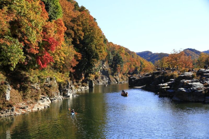 From Tokyo: Seibu Railway 1 Day Pass and Nagatoro - Authentic Traveler Insights