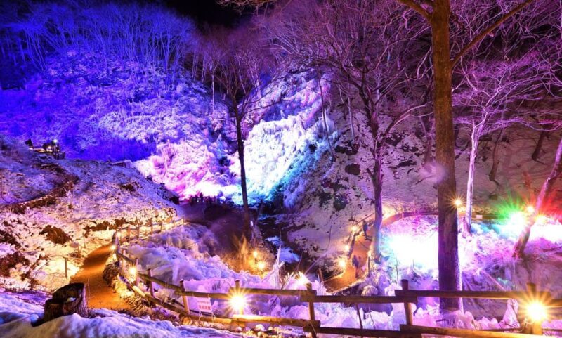 From Tokyo: Seibu Railway 1 Day Pass and Nagatoro - The Practical Side: What You Need to Know