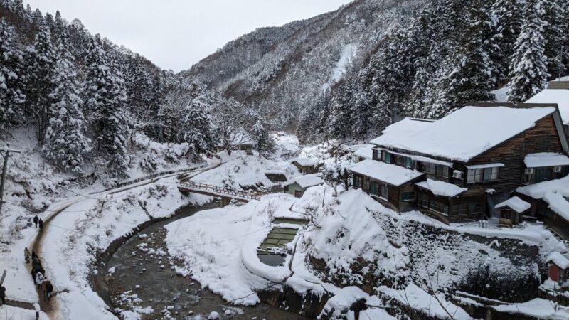 From Tokyo: Snow Monkey 1 Day Tour with Beef Sukiyaki Lunch - Final Thoughts