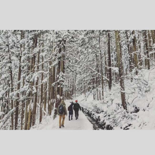 From Tokyo: Snow Monkey Park and Miso Production Day Tour - In-Depth Review of the From Tokyo: Snow Monkey Park and Miso Production Day Tour