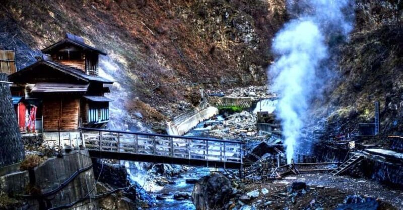 From Tokyo: Snow Monkey Private Customize Day Tour - Introduction: A Perfect Mix of Nature and Culture