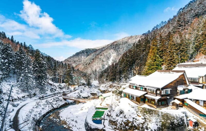 From Tokyo: Snow Monkeys and Zenkoji Temple Day Trip - Who Would Love This Tour?