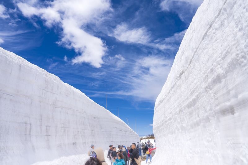 From Tokyo: Tateyama Kurobe Alpine Route "Snow Wall" & Shirakawa-go - The trip at a glance