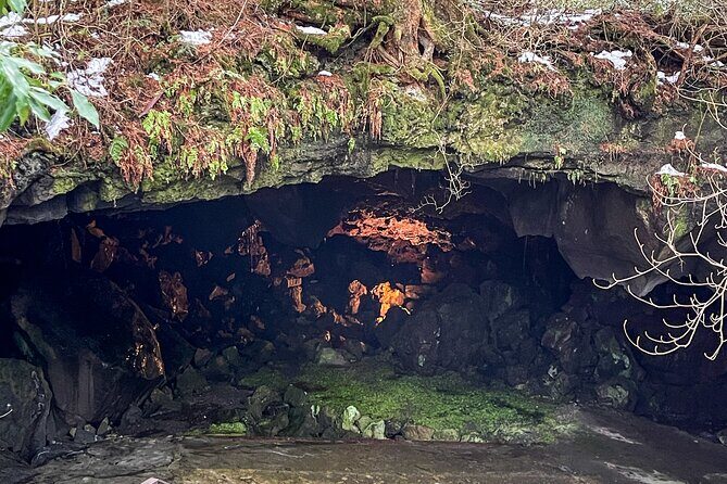 From Tokyo to Mount Fuji! Private Car Tour by Eng Speaking Driver - Who Should Book This Tour?