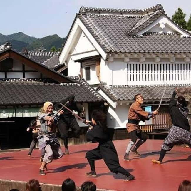 From Tokyo To Nikko Private Day Tour With English Guide - Practical Tips: Making the Most of Your Day