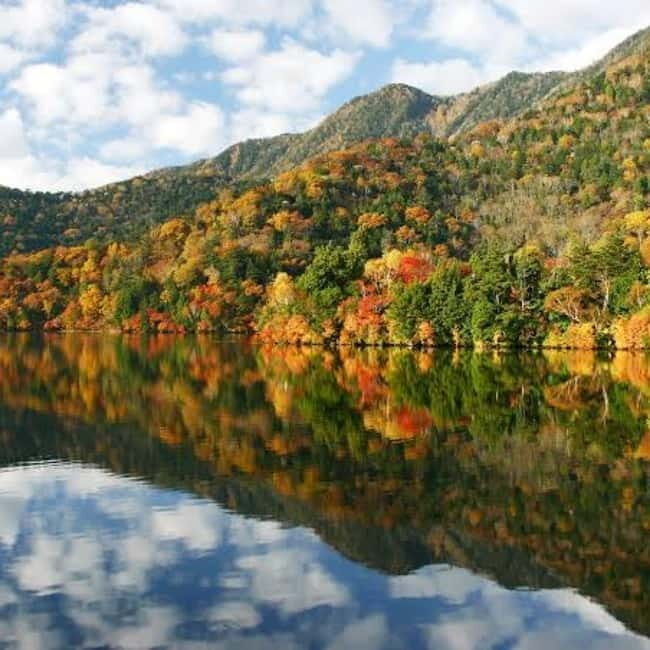 From Tokyo To Nikko Private Day Tour With English Guide - FAQ