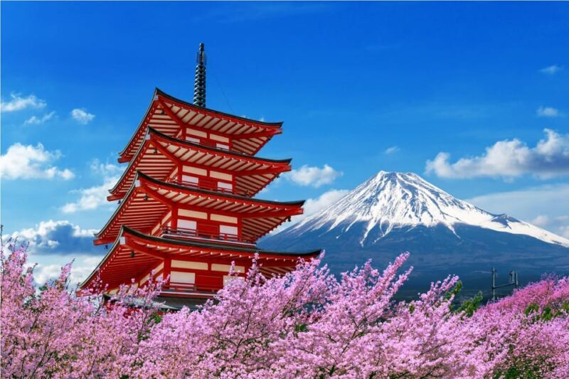 From Tokyo: Tokyo, Kyoto, Osaka, & Nikko Private 7-Day Tour - A Fully Customizable Itinerary