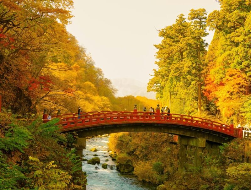 From Tokyo: Tokyo, Kyoto, Osaka, & Nikko Private 7-Day Tour - Considerations and Limitations