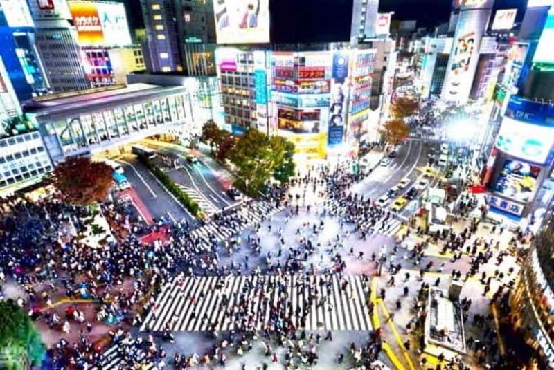 From Tokyo: Tokyo Private Customize Tour With English Driver - Key Points