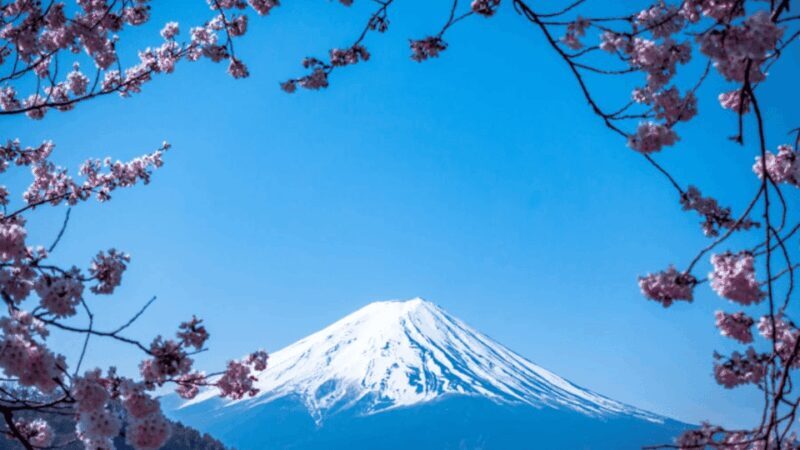 From Tokyo:Mount Fuji Private Customizable Tour With English - Exploring the Itinerary: What to Expect on Your Mt. Fuji Private Day Trip