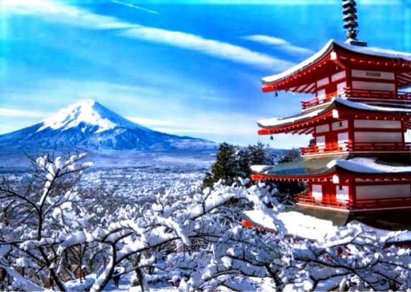 From Tokyo:Mount Fuji Private Customizable Tour With English - Frequently Asked Questions