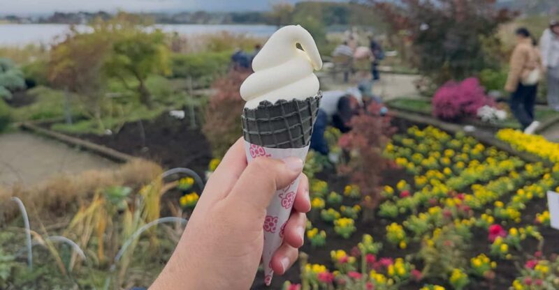 From Tokyo:Mount Fuji private day tour with English driver - The Real Deal: A Closer Look at the Mount Fuji Private Day Tour