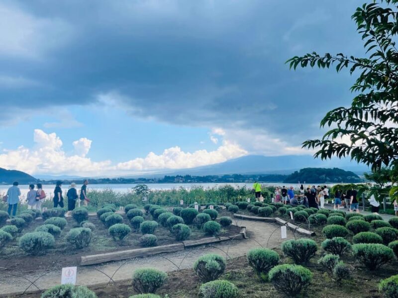 From Tokyo:Mount Fuji private day tour with English driver - FAQs