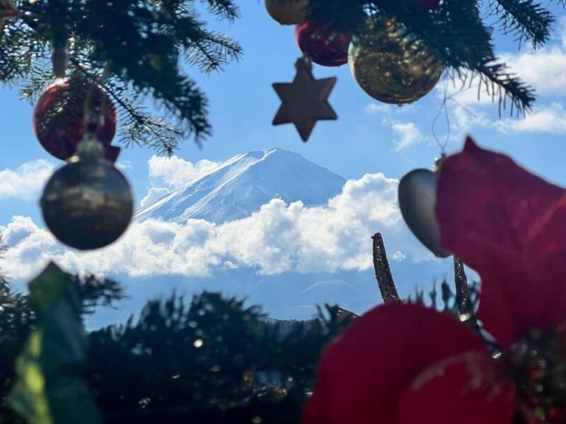 From Tokyo:Mt.Fuji &Hakone Trip with English Speaking guide - What the Tour Includes and What to Keep in Mind