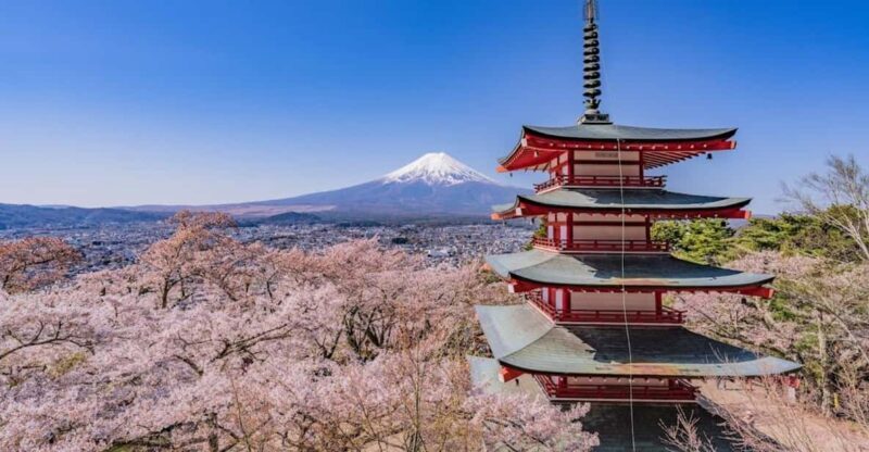 From Tokyo:Mt.Fuji &Hakone Trip with English Speaking guide - Final Thoughts: Who Will Love This Tour?