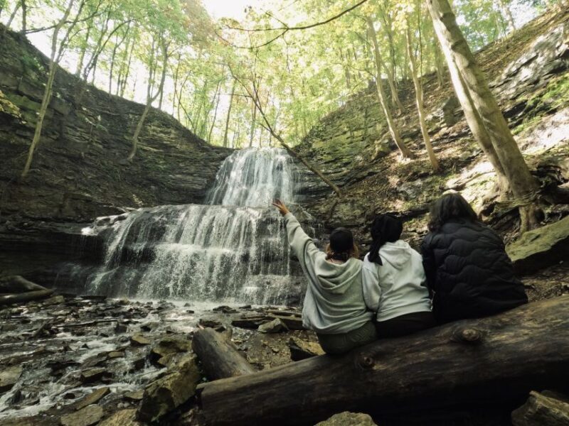 From Toronto: Niagara 3 hidden Waterfalls Day Tour - Who Should Consider This Tour?