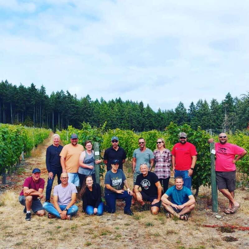 From Toronto: Niagara Wine Tours - A Deep Dive into the Tour Experience