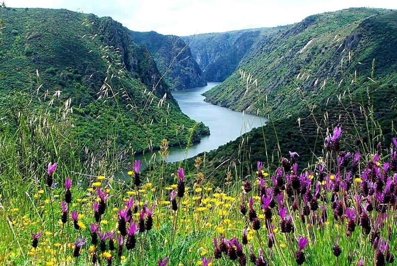 From Torre de Moncorvo: an Immersive Tour through Douro - Key Points