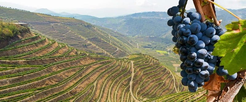 From Torre de Moncorvo: an Immersive Tour through Douro - In-Depth Breakdown of the Itinerary