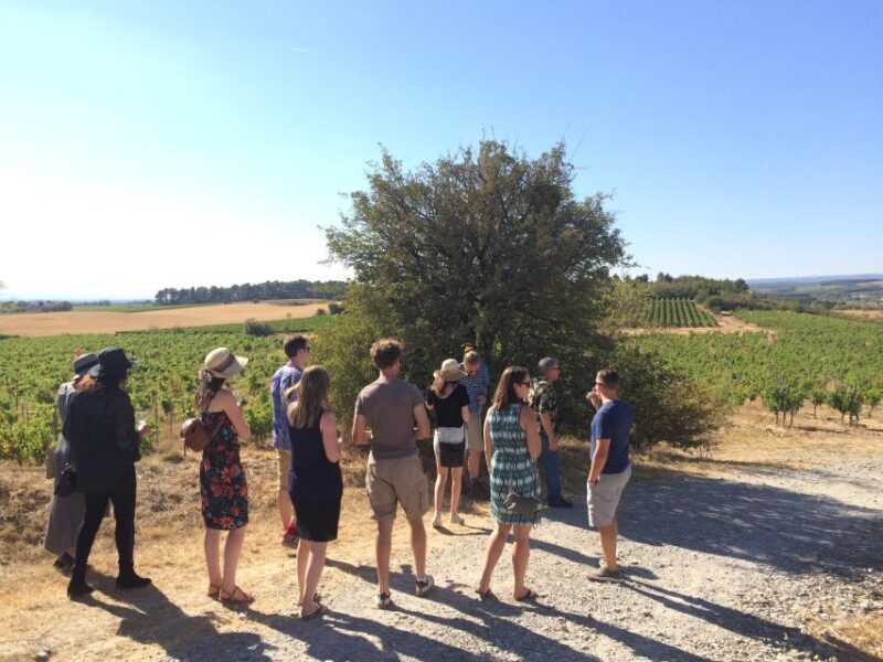 From Toulouse Cite de carcassonne et wine tasting - In-Depth Review of the Experience