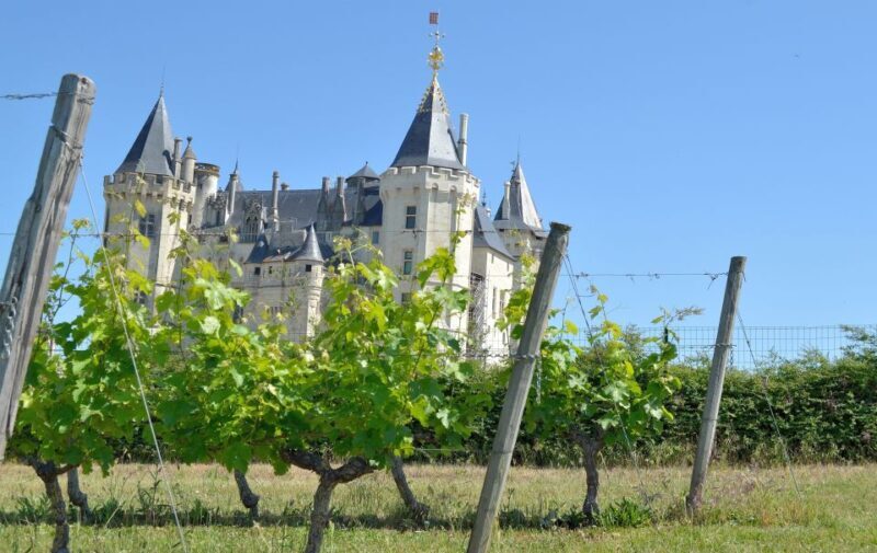 From Tours: Loire Valley Wineries Day Trip with Tastings - FAQ