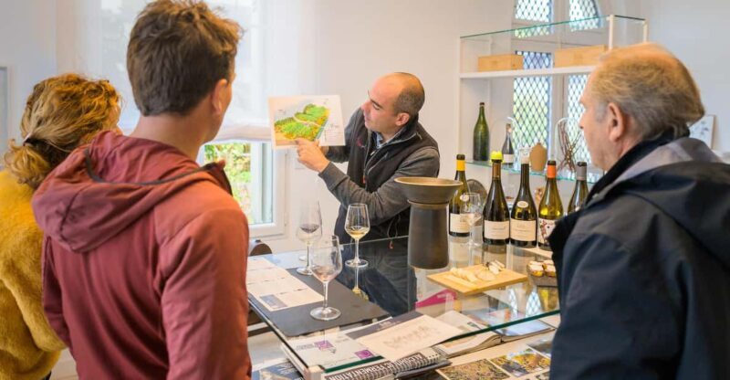 From Tours or Amboise: Loire Valley Wine Tour - An In-Depth Look at the Loire Valley Wine Tour
