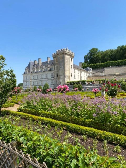 From Tours: Villandry, Azay-le-Rideau & Vouvray Winery - Exploring the Loire Valley: Castles and Gardens