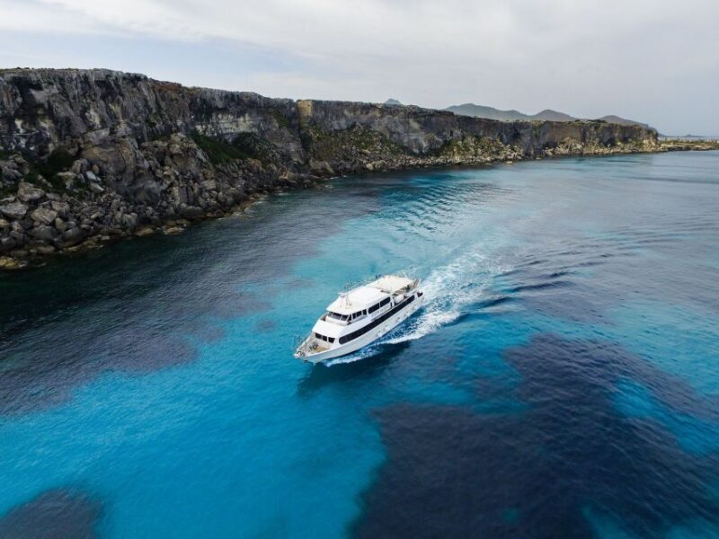 From Trapani: Favignana and Levanzo Motorboat Cruise - Final Thoughts: Is This Tour Worth It?