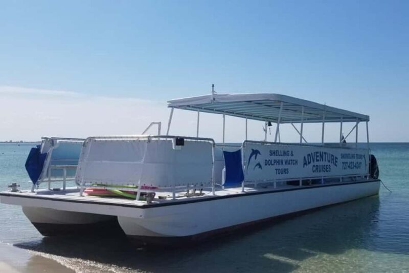 From Treasure Island: Dolphin Watching and Shelling Cruise - Who Would Enjoy This Tour Most?