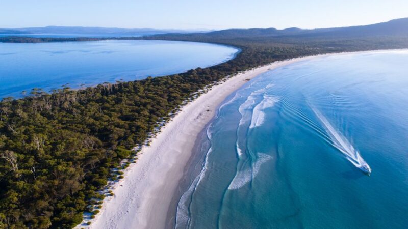 From Triabunna: Maria Island Cruise & Guided Walk with Lunch - Practical Tips for Travelers