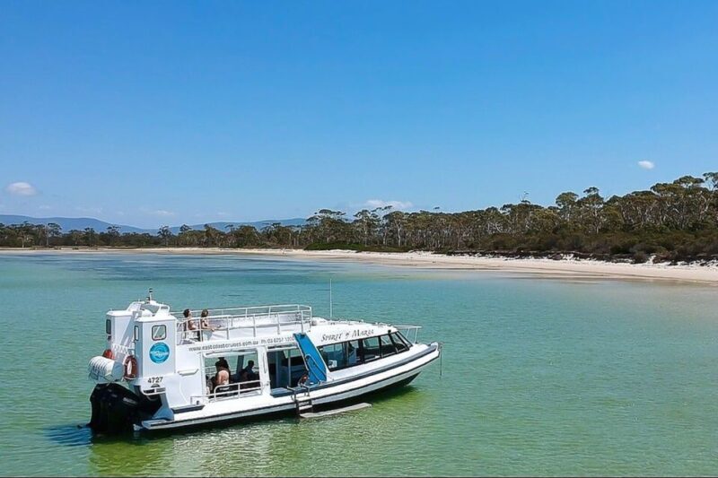 From Triabunna: Maria Island Cruise & Guided Walk with Lunch - Who Would Love This Tour?