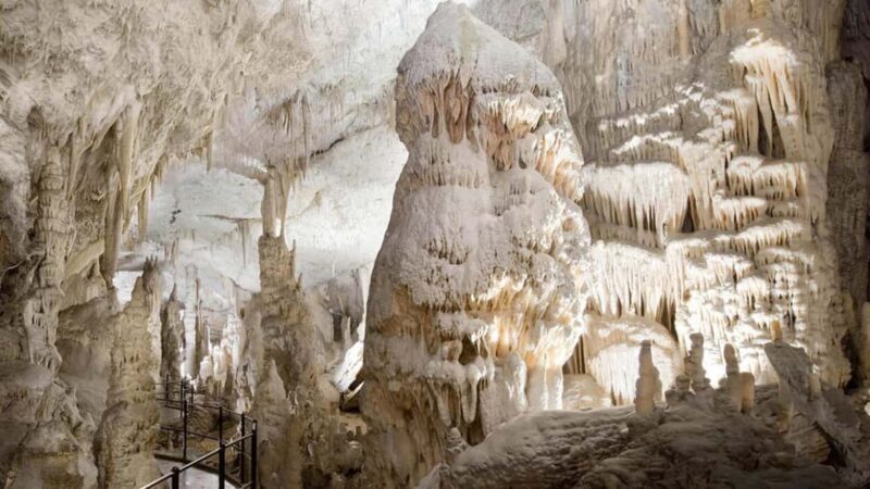 From Trieste: Postojna Cave & Predjama Castle Tour - A Closer Look at the Tour Journey