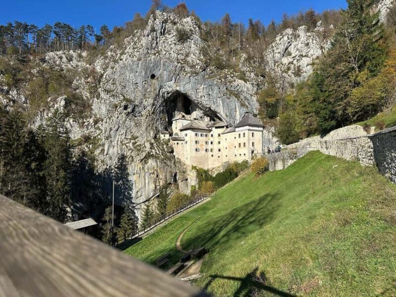 From Trieste: Postojna Cave & Predjama Castle Tour - Who Should Consider This Tour?