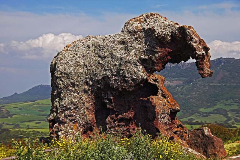 From Trivandrum: Kanyakumari and Poovar Private Day Tour - Who Will Love This Tour?