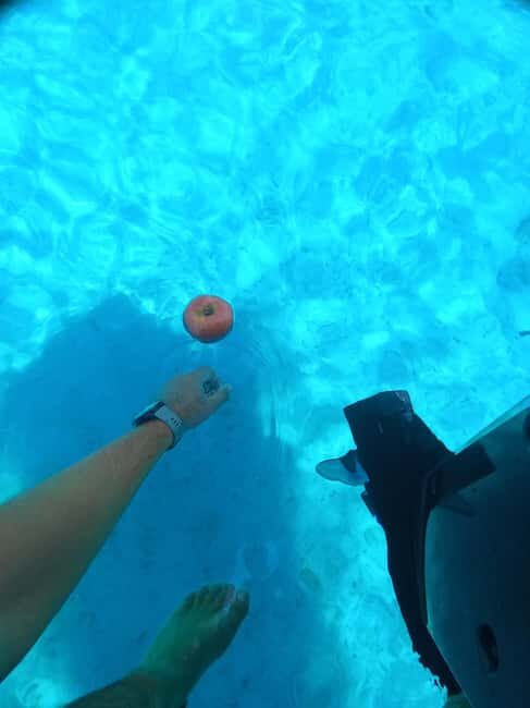 From Trogir: Half-Day Private Speedboat Tour to Blue Lagoon - The Sum Up