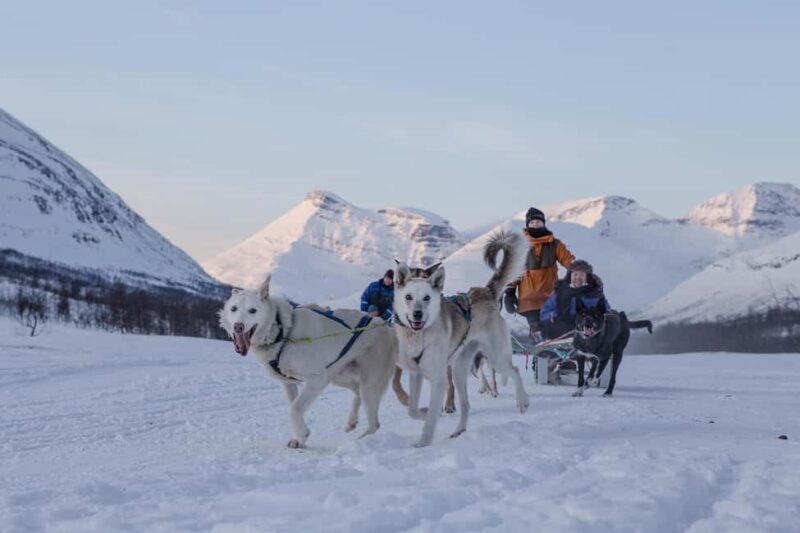 From Tromsø: Advanced Dog Sledding Daytime & Snow Park Visit - From Tromsø: Advanced Dog Sledding Daytime & Snow Park Visit