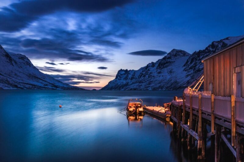 From Tromsø: Arctic Wildlife & Fjord Sightseeing Tour by Car - Exploring the Arctic Landscape