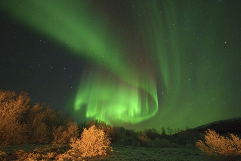 From Tromsø: Aurora Minibus Chase with Portrait and Hot Meal - Practical Details and Tips