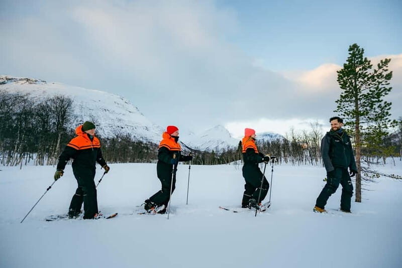 From Tromsø: Daytime Snowshoeing and Snow Park Visit - Introduction: A Genuine Arctic Adventure