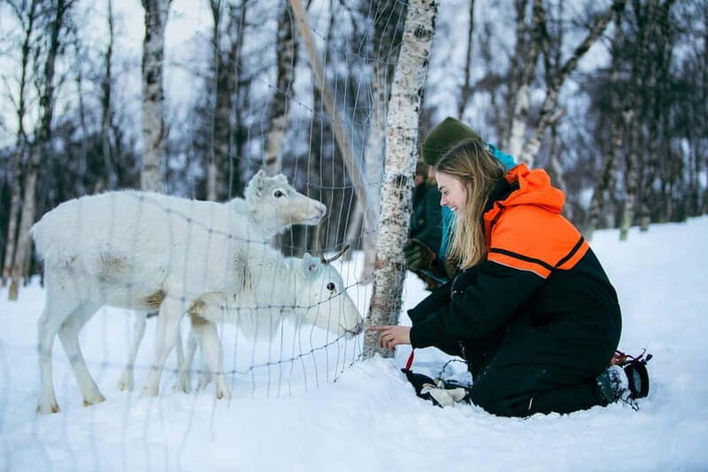 From Tromsø: Daytime Snowshoeing and Snow Park Visit - Final Thoughts
