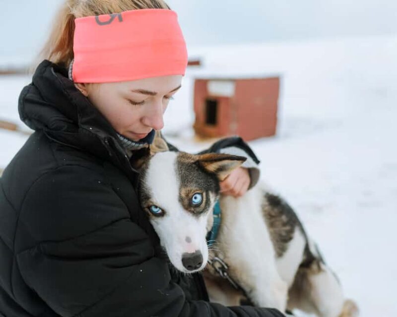 From Tromsø: Dog Sledding Experience with Transfer - Meeting the Huskies and Learning to Mushing