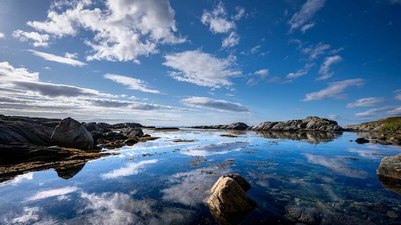 From Tromsø: Experience Vannøya Island Wild, Remote & Real - The Experience in Detail