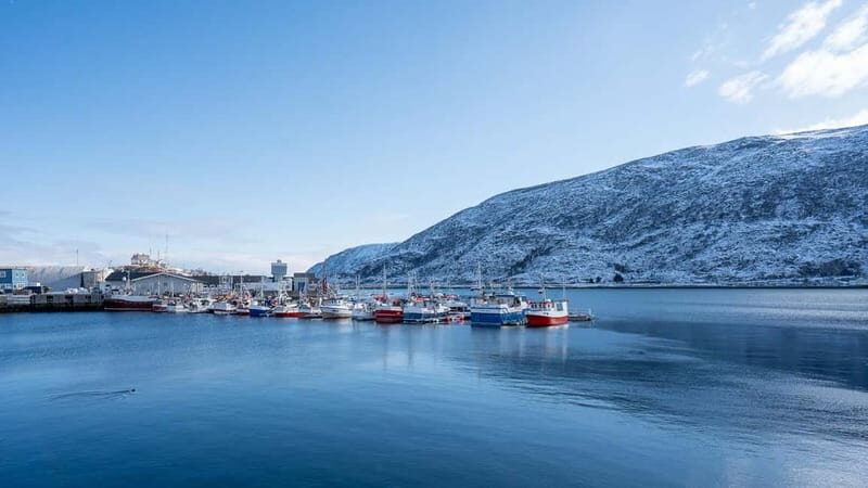 From Tromsø: Experience Vannøya Island Wild, Remote & Real - Analyzing the Value