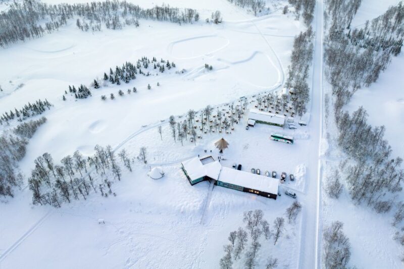 From Tromsø: Fun and Easy Dog Sledding Adventure - Authenticity and Quality of the Experience