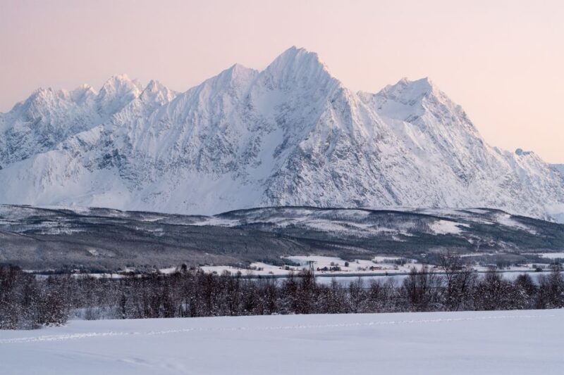 From Tromsø: Fun and Easy Dog Sledding Adventure - FAQ