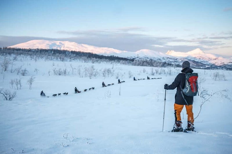 From Tromsø: Guided Husky Snowshoe Hike and Husky Camp Visit - Exploring the Tour in Detail