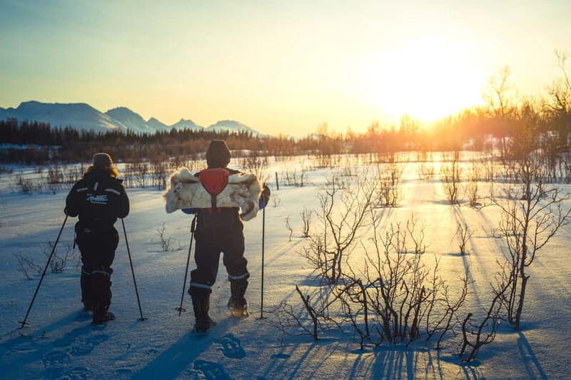 From Tromsø: Guided Husky Snowshoe Hike and Husky Camp Visit - Who Will Love This Tour?