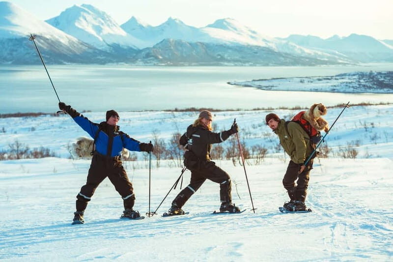 From Tromsø: Guided Husky Snowshoe Hike and Husky Camp Visit - FAQ