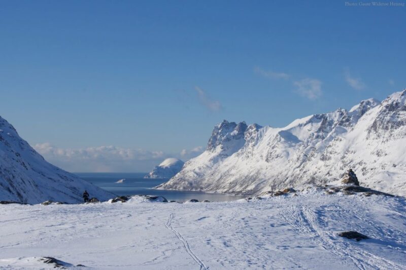 From Tromsø: Guided Snowshoe Hike Experience - From Tromsø: Guided Snowshoe Hike Experience — A Practical Guide to Arctic Winter Magic